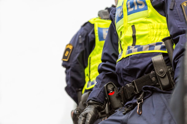 шведских полицейских регистрах