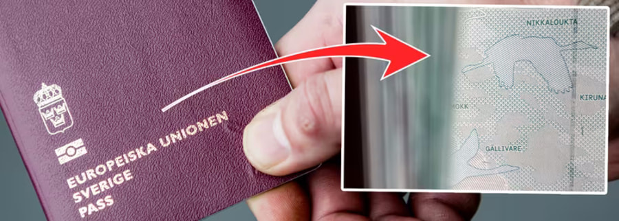 Шведский паспорт