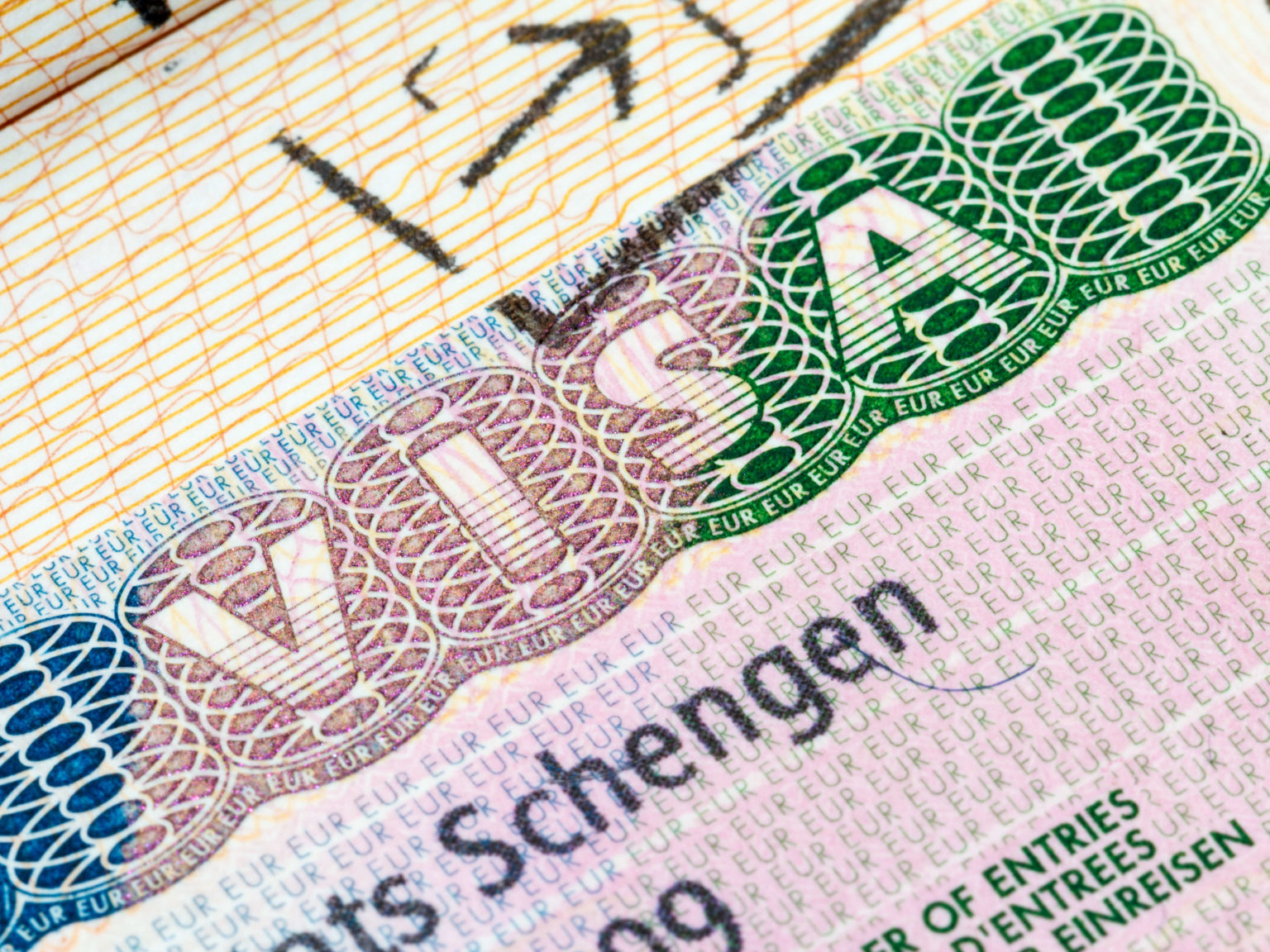 заявления на шенгенскую визу