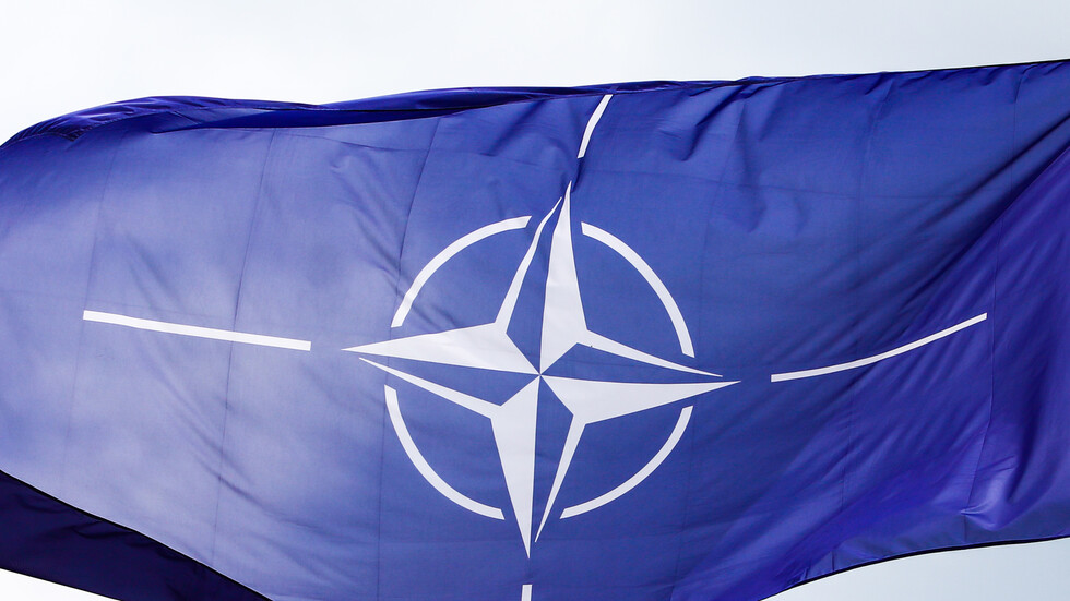 Социал-демократы могут принять решение о НАТО