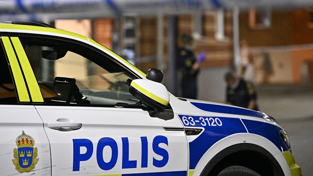 Полиция Швеции