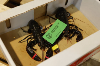 коробка шведских омаров