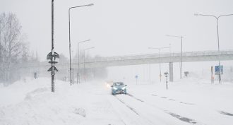 о сильном снегопаде на западе Швеции