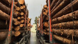 Отходы лесного хозяйства