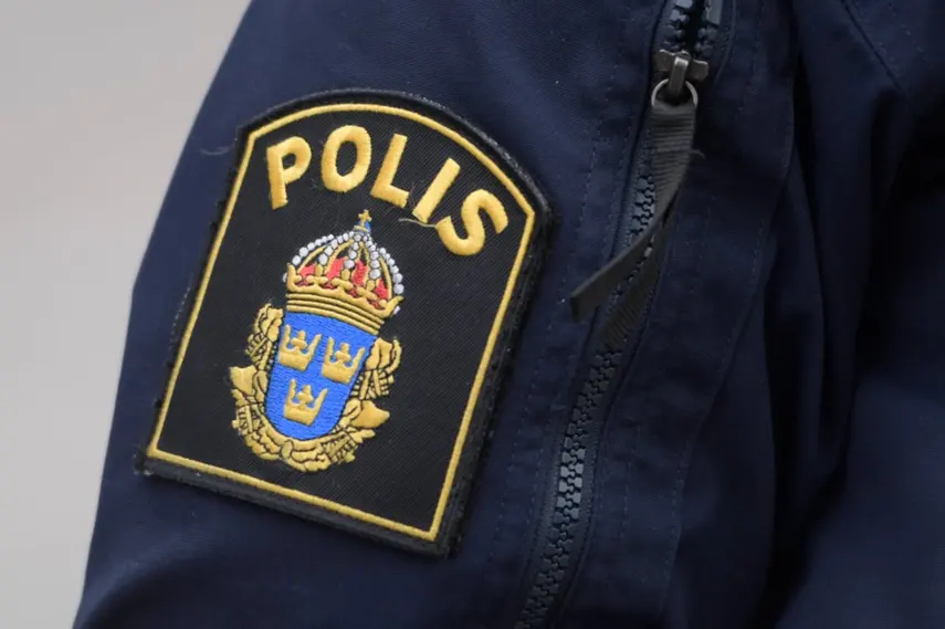 Сколько преступлений совершается в Швеции?