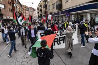 демонстрациях солидарности с палестинцами