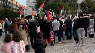 ХАМАС восхваляют на улицах шведских городов