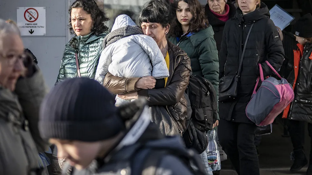 искать убежище в Швеции