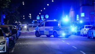 Опрос: шведы больше беспокоятся о преступности