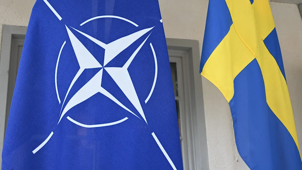 Парламент Венгрии поддержал членство Швеции в НАТО