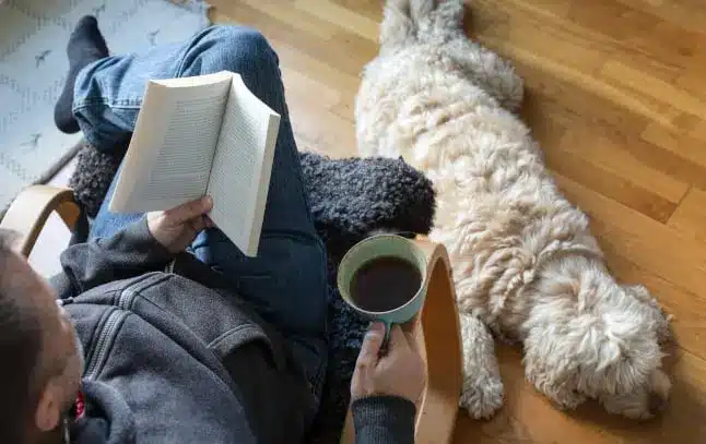 шведских книг для чтения