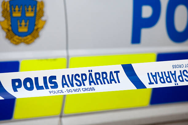 Тело найдено в ходе поисков пропавшего 17-летнего подростка на западе Швеции