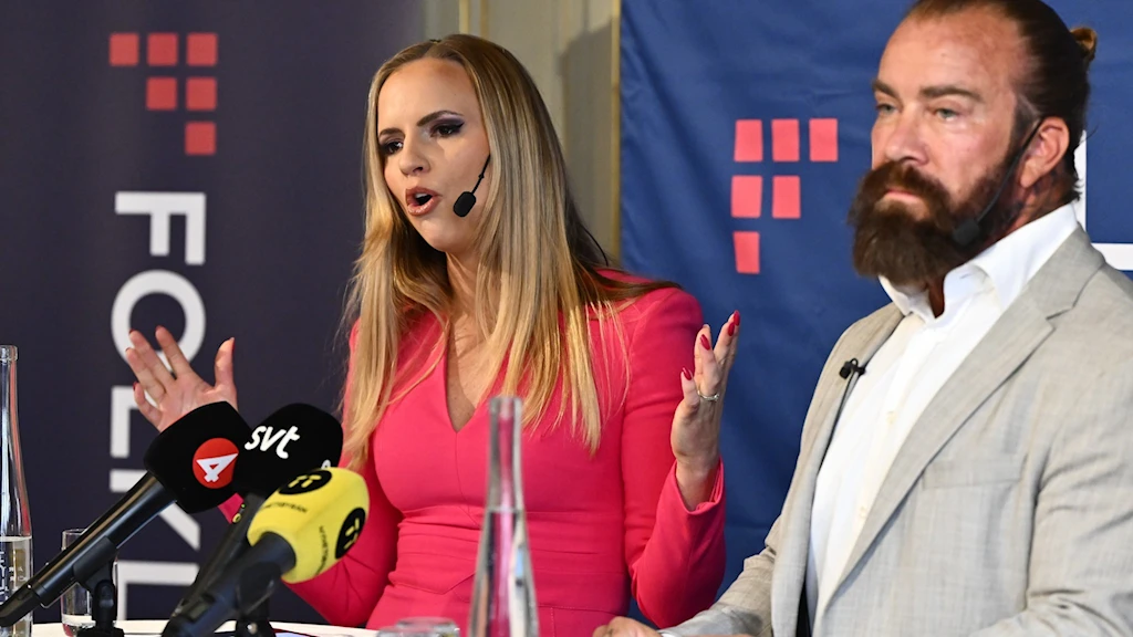 Новая шведская партия «Фольклистан» создана пересмотреть условия членства Швеции в ЕС