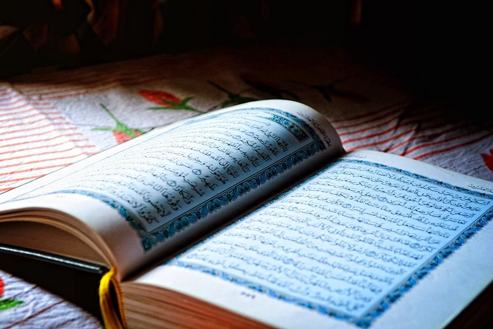 Активистка заявила, что сожжет еще один Коран в Швеции
