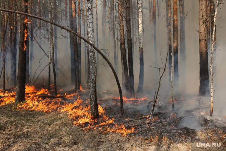 Риск лесных пожаров, поскольку солнце и ветер создают условия для засухи