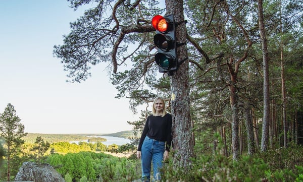 В шведском лесу установили светофор для туристов