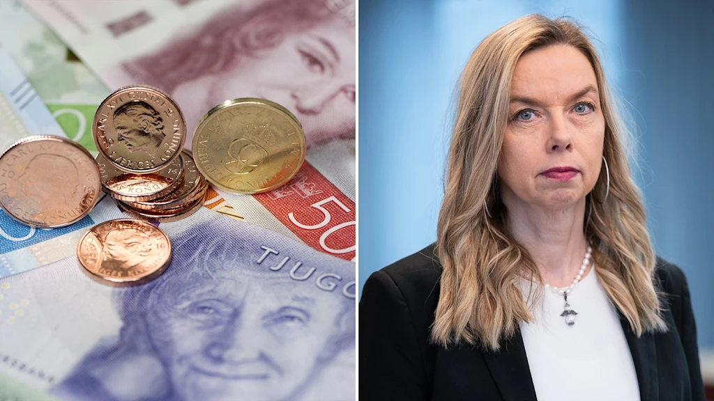 Новое Шведское платежное агентство для поиска мошенников с пособиями