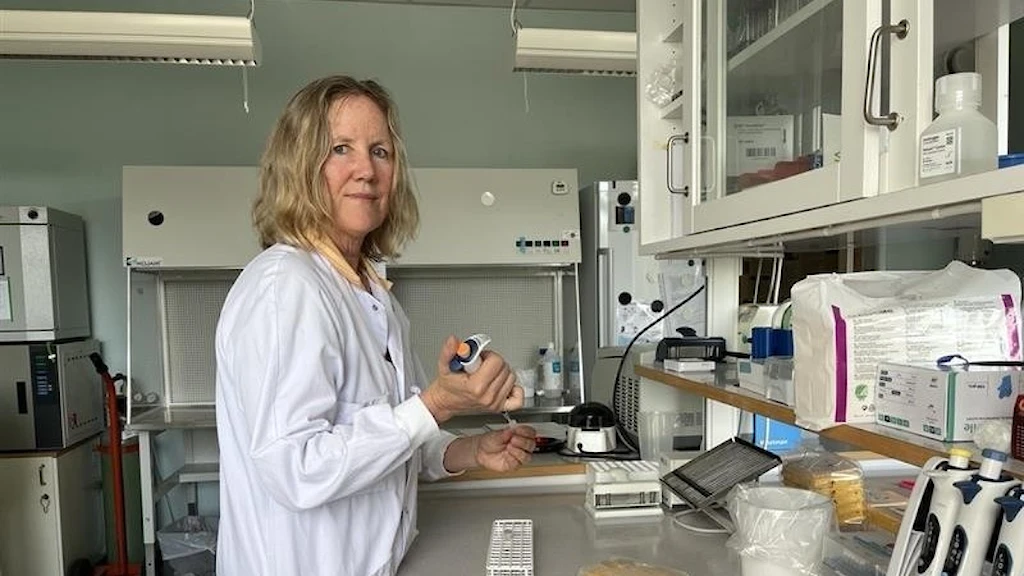 Шведские исследователи изучают клещевые бактерии, которые могут вызывать рак