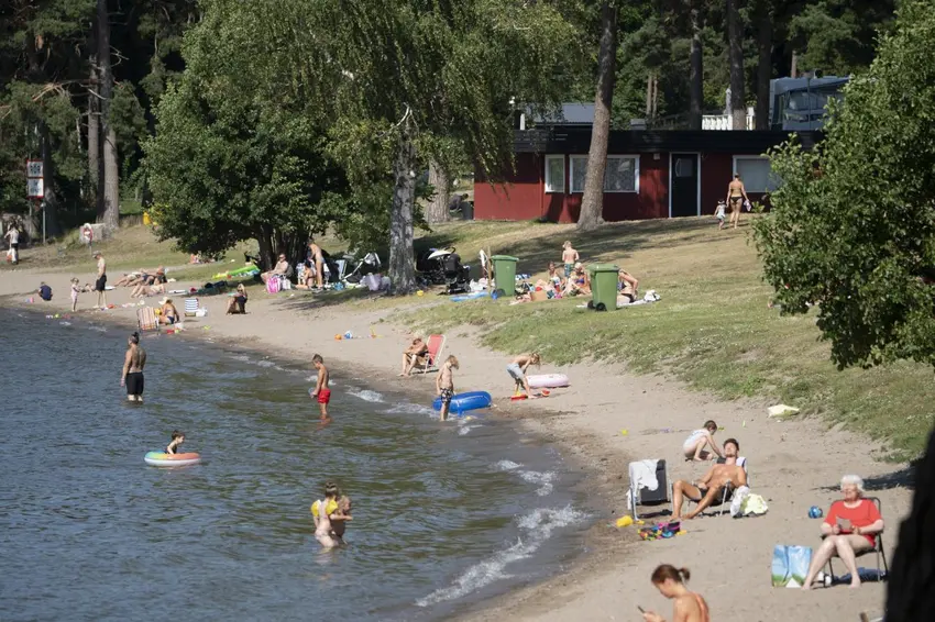 Где найти самые чистые пляжи Швеции летом 2024 года – и чего следует избегать