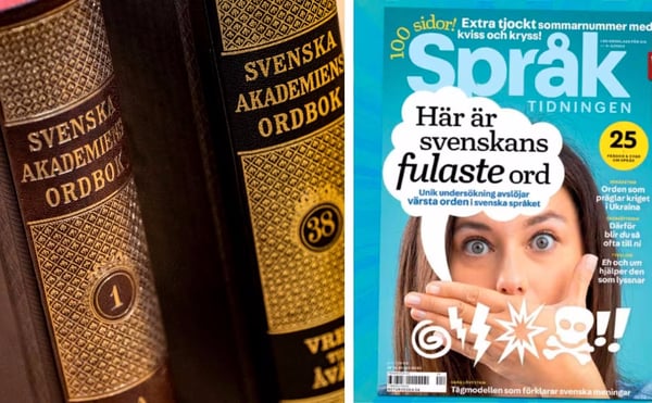 В Швеции определили самые неприличные слова шведского языка