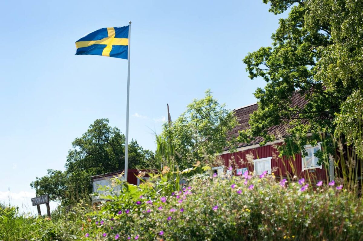 Сегодня – Национальный день Швеции! 🎉🇸🇪 Главный атрибут праздника – конечно, шведский флаг 🤩