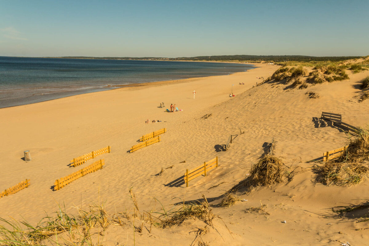 Выявлены самые чистые пляжи Швеции летом 2024 года