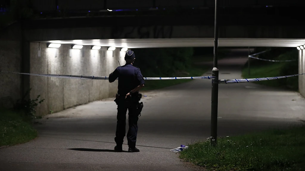 Две стрельбы в районе Стокгольма ночью-погиб подросток