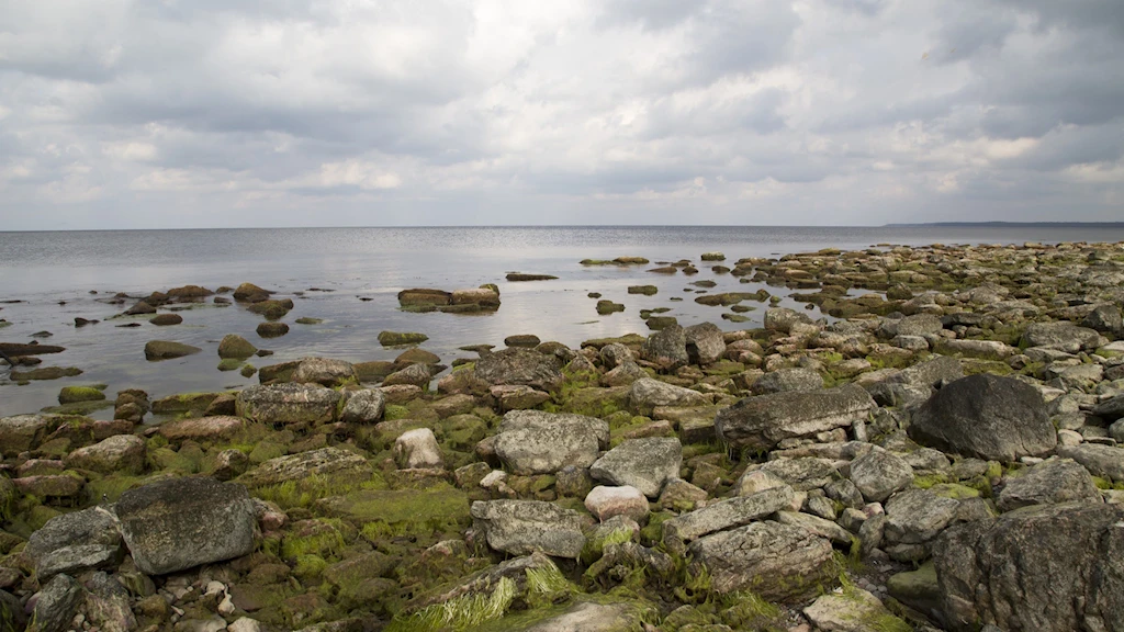 На месте кораблекрушения в Балтийском море найдено шампанское многовековой выдержки
