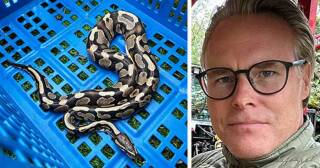 В шведском лесу найдена экзотическая змея