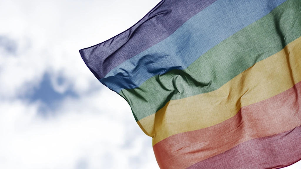 Новые данные о ЛГБТ, ищущих убежища, выявляют тенденции в одобренных и отклоненных делах