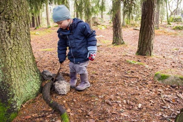 На случай войны шведов научат добывать пищу в лесу