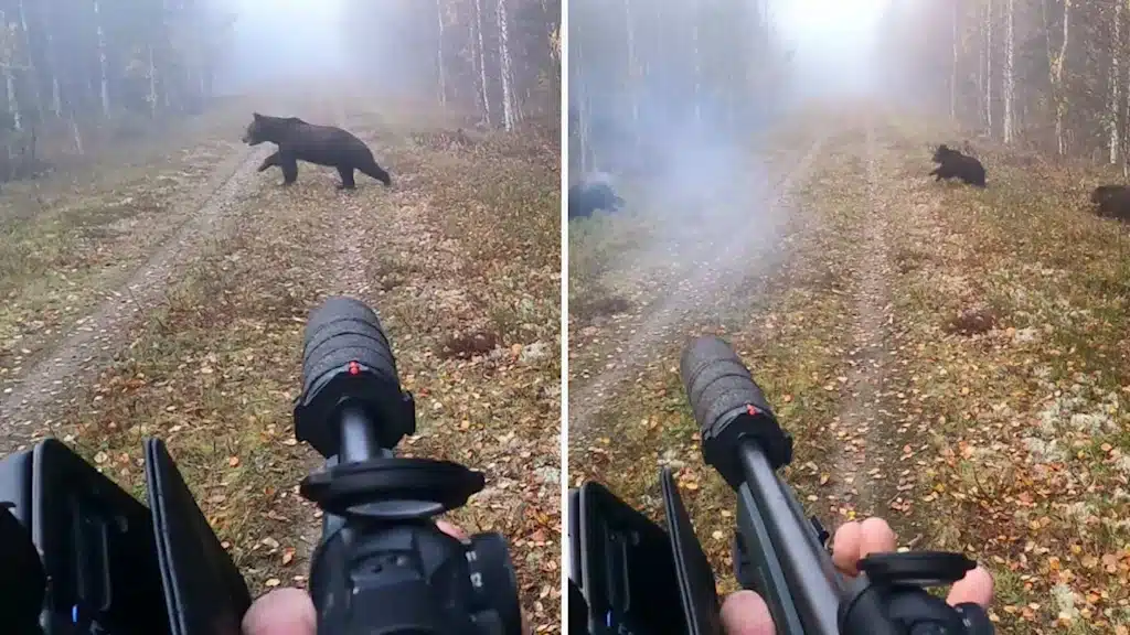 преступление на охоте