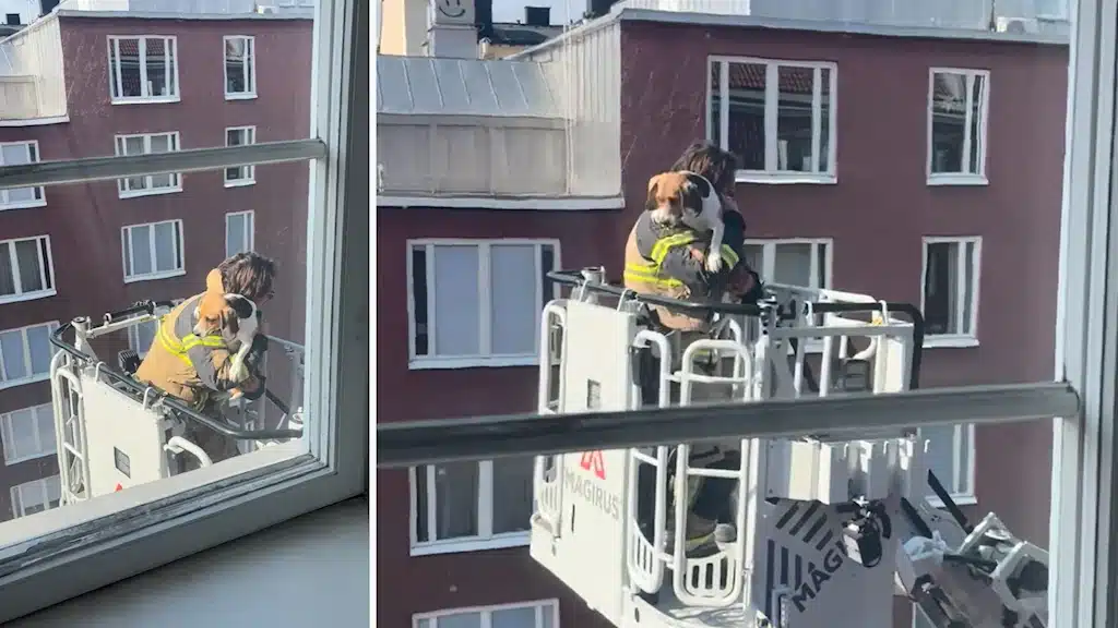 Остермальм