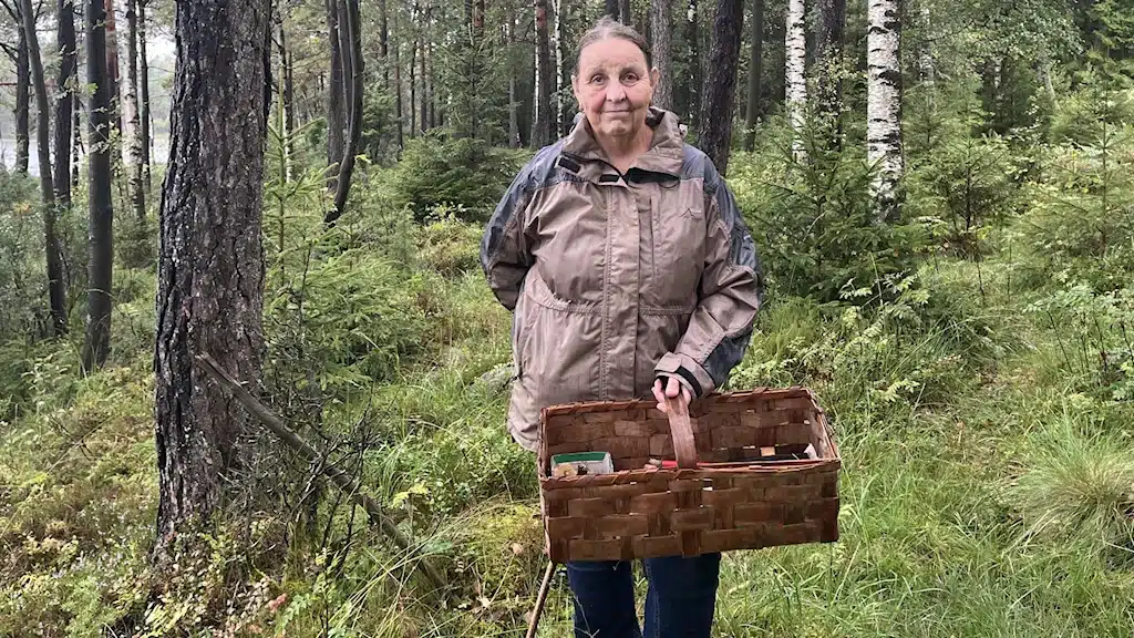 Шведский университет