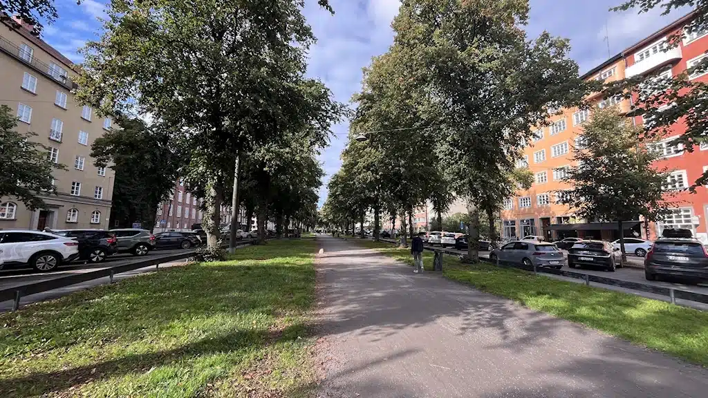 конкуренция за парковочные места