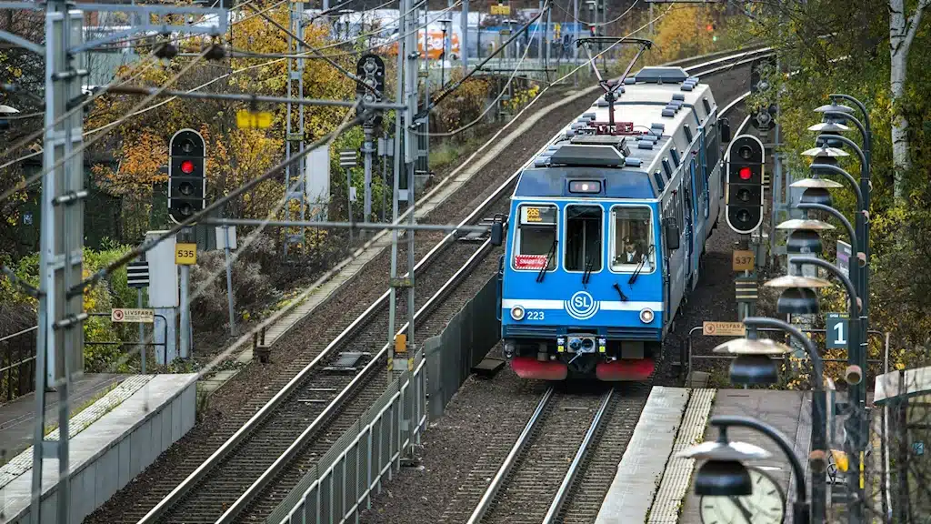 погибла под поездом