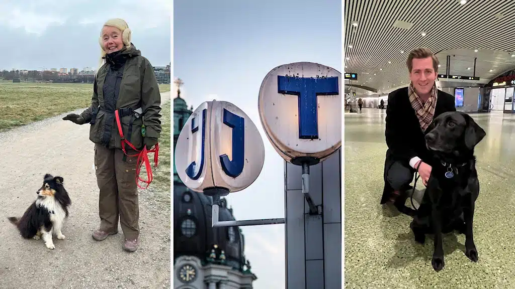 в Стокгольме станция пригородного поезда