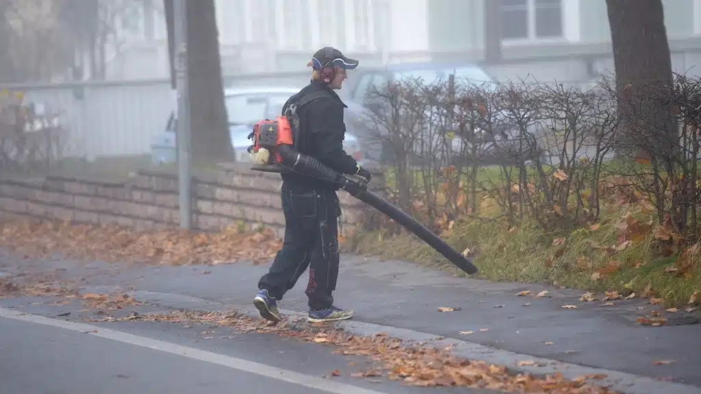 В Швеции и Дании