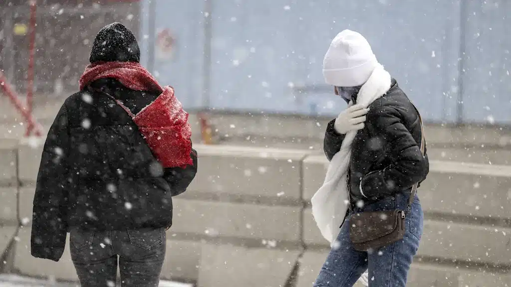 новогодние праздники