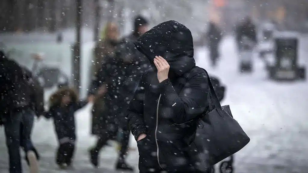 в Стокгольме сильный снегопад