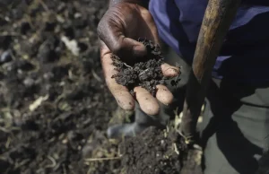 Война с Ираном давит на сельское хозяйство — ООН предупреждает о голоде риск голода