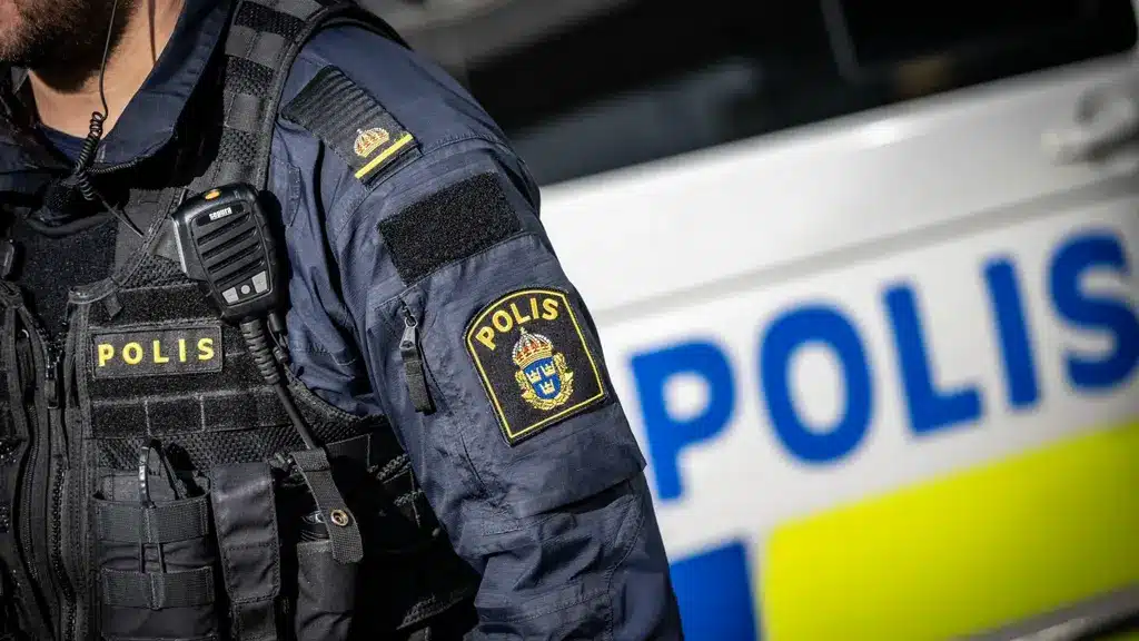 Europol в Швеции