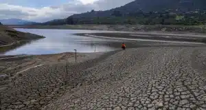 Экстремальная погода угрожает миллионам — в этом году возможен мощный Эль-Ниньо риск наводнений и ливней