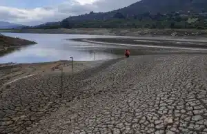 Экстремальная погода угрожает миллионам — в этом году возможен мощный Эль-Ниньо риск наводнений и ливней