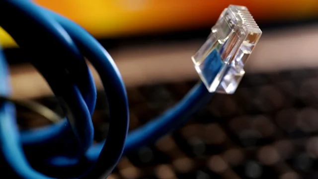 55e689ff-67d0-407e-94ec-76bdb52c685f