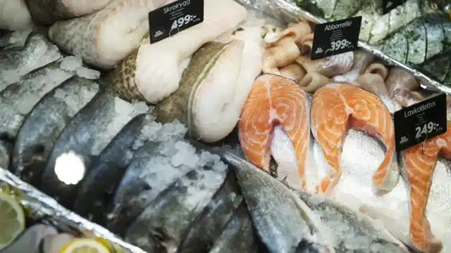 на фермах лосося на фермах лосося