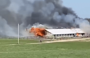 Трагический пожар – в огне погибло двенадцать лошадей в результате сильного пожара