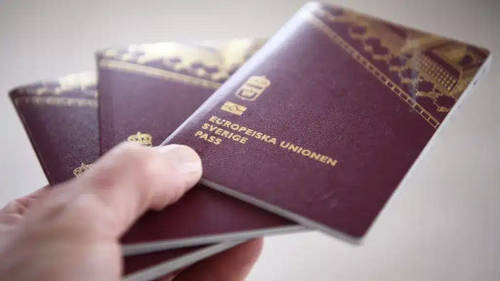 требования к знанию языка