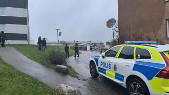 в общественном транспорте