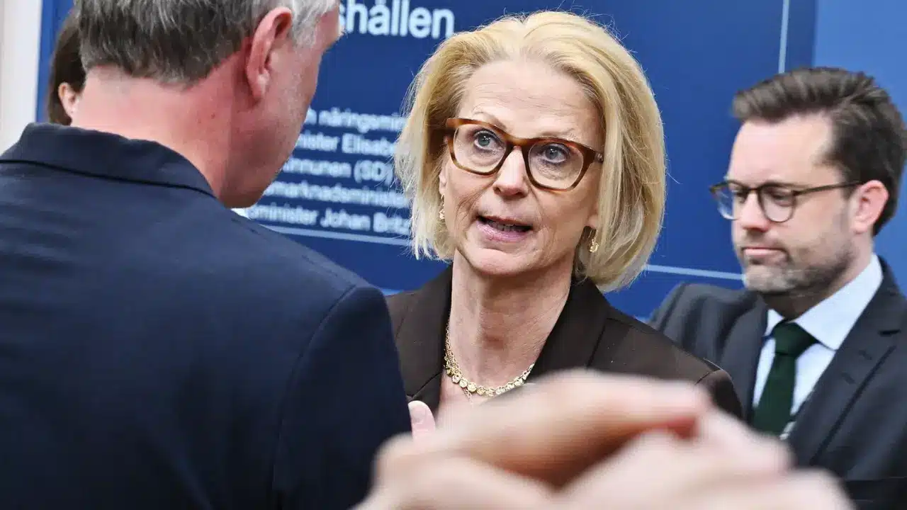 https://www.sverigesradio.se/artikel/forskare-god-ekonomi-inte-regeringens-fortjanst